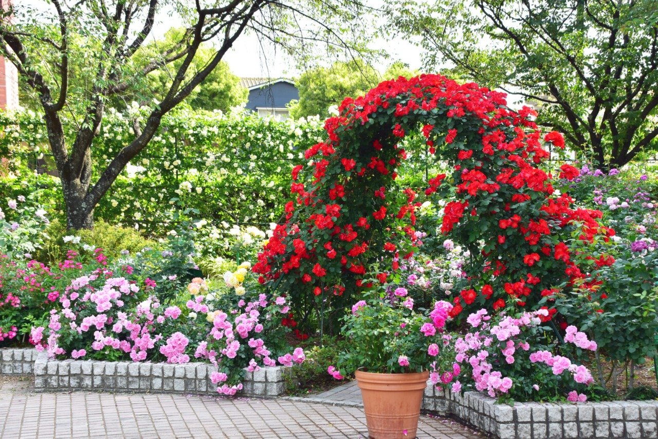 🏛️ 이시바시 문화센터 이미지 6